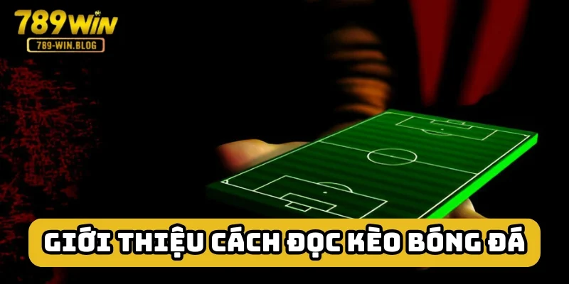 Cách đọc kèo bóng đá là nhận biết nội dung nhà phát hành đưa ra