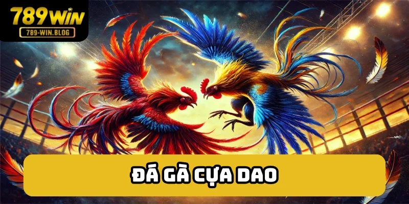 Đá gà cựa dao