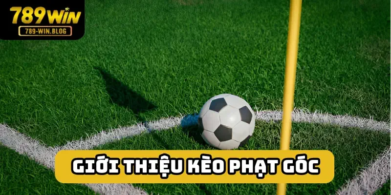 Kèo phạt góc là những dạng cược xoay quay thông số cùng tên